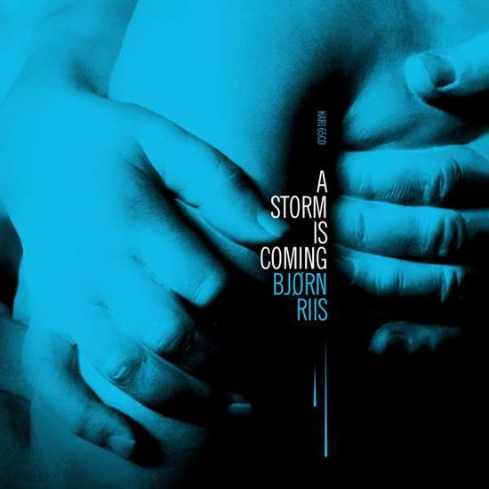 Cover for Bjorn Riis · A Storm is Coming (LP) (2019)