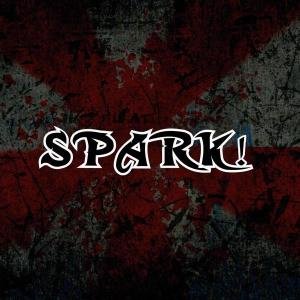 Cover for Spark! · Genom Stormen (CD) (2010)