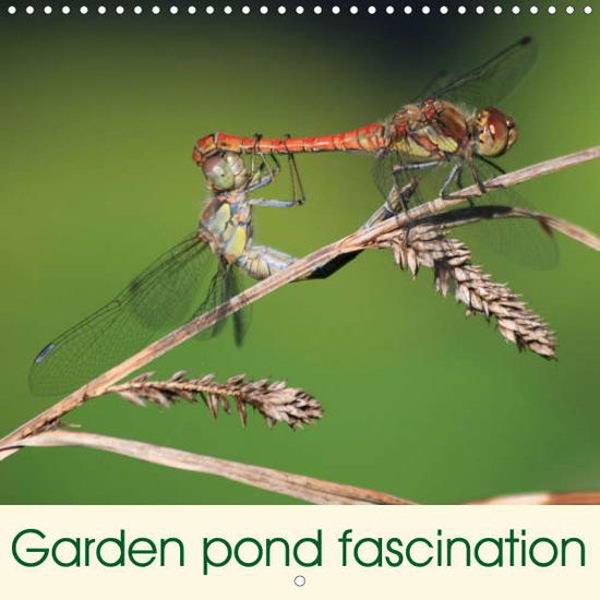 Cover for Rickert · Garden pond fascination (Wall C (Book)