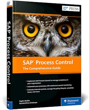 Cover for Raghu Boddu · SAP Process Control (Book) (2024)