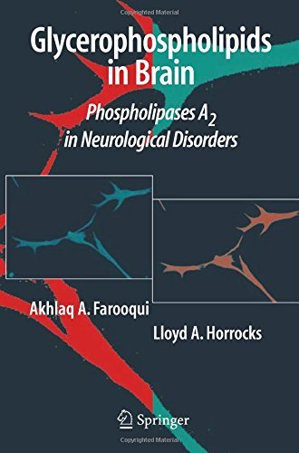 Cover for Akhlaq A. Farooqui · Glycerophospholipids in the Brain: Phospholipases A2 in Neurological Disorders (Pocketbok) [2007 edition] (2014)