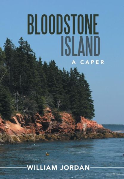 Cover for Wiliam Jordan · Bloodstone Island: a Caper (Hardcover Book) (2014)