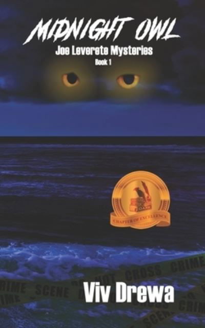 Cover for Viv Drewa · Midnight Owl (Paperback Book) (2021)
