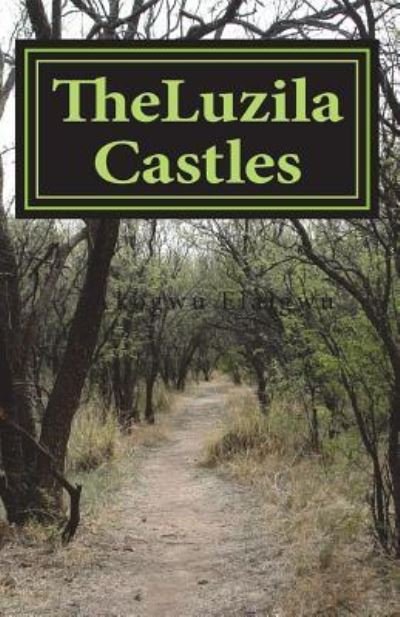 Cover for Akogwu Samuel Elaigwu · The Luzila Castles. (Paperback Book) (2018)