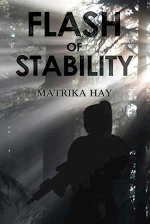 Cover for Matrika Hay · Flash of Stability (Paperback Book) (2025)