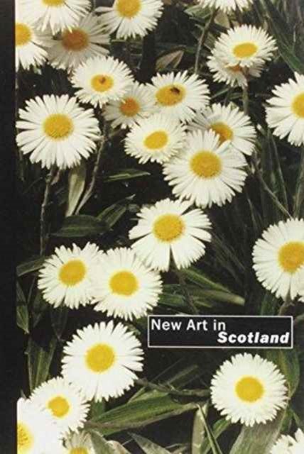 Cover for John Doe · New Art in Scotland (Paperback Book) (1999)