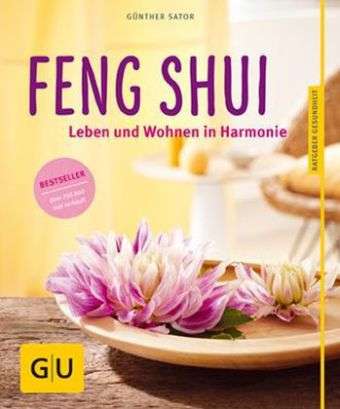 Cover for Günther Sator · Feng Shui (Paperback Book) (2014)