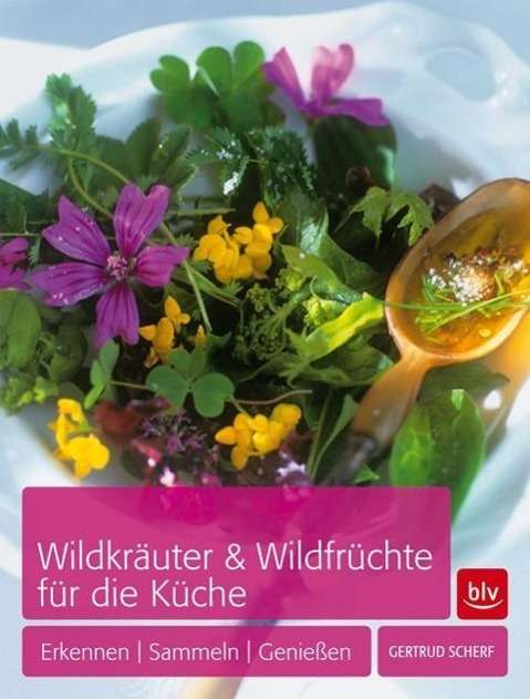 Cover for Scherf · Wildkräuter &amp; Wildfrüchte für di (Book)