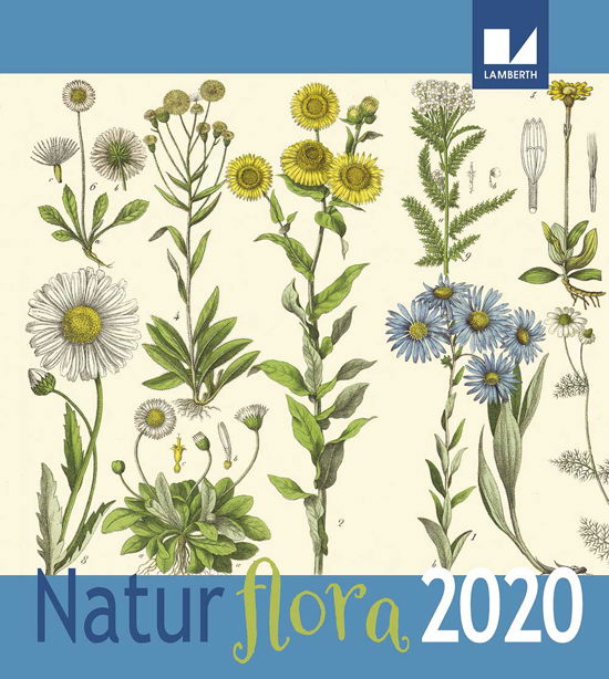 Natur - Flora Kalender 2020 -  - Bøger - Lamberth - 9788771616101 - 26. juni 2019