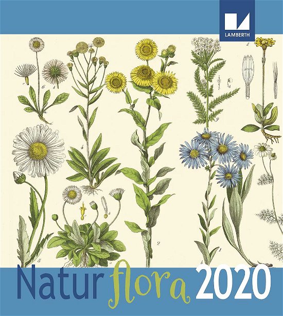Natur - Flora Kalender 2020 -  - Kirjat - Lamberth - 9788771616101 - keskiviikko 26. kesäkuuta 2019