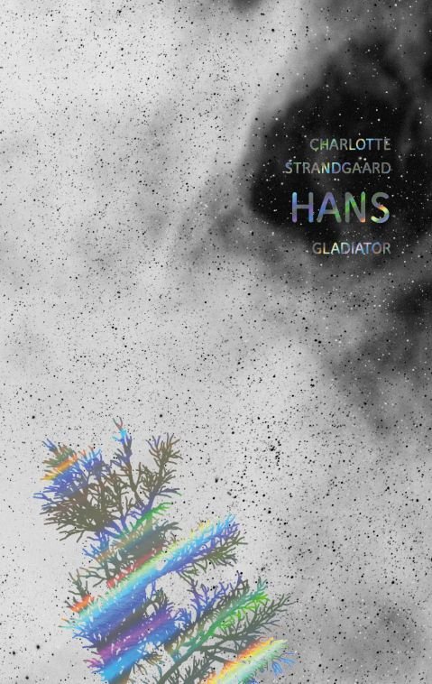 Cover for Charlotte Strandgaard · Hans (Sewn Spine Book) [1st edition] (2014)