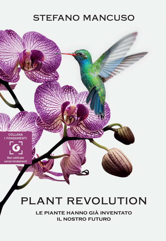 Cover for Stefano Mancuso · Plant Revolution. Le Piante Hanno Gia Inventato Il Nostro Futuro (Book)