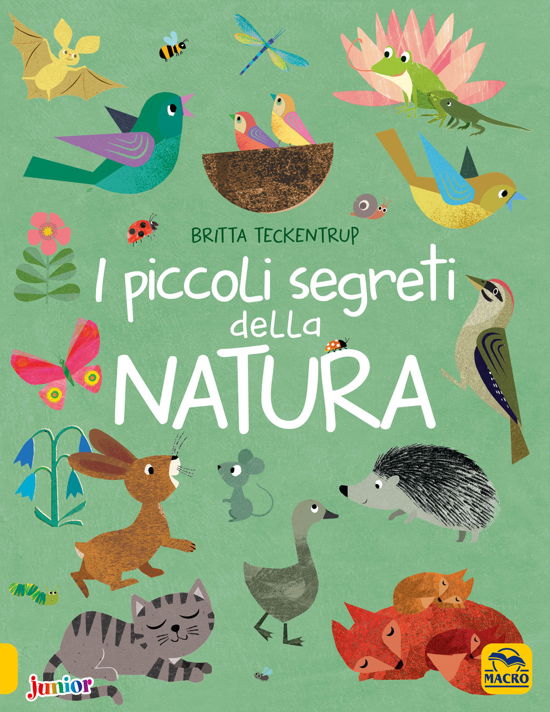 Cover for Britta Teckentrup · I Piccoli Segreti Della Natura. Ediz. A Colori (Book)