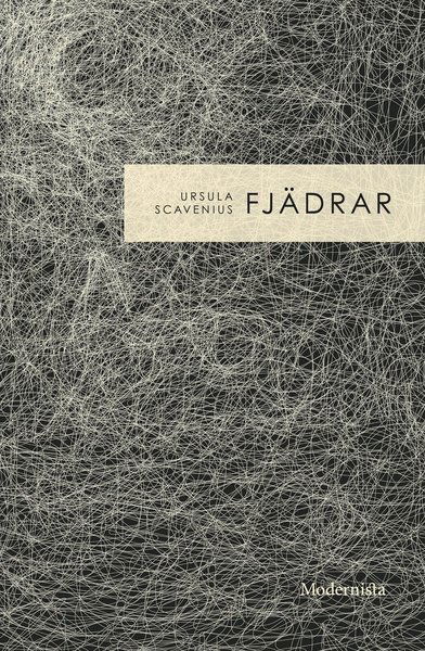 Fjädrar - Ursula Scavenius - Books - Modernista - 9789177011101 - August 23, 2017