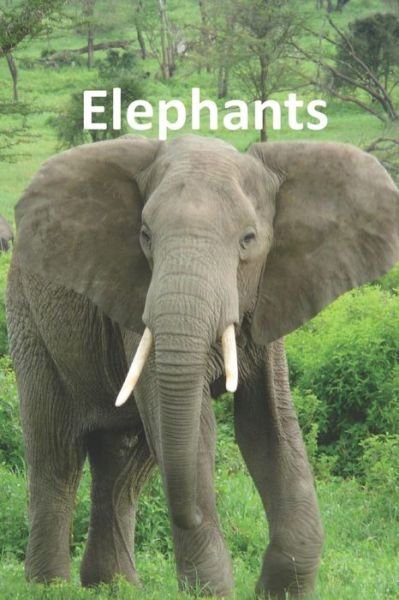 Cover for Rich Linville · Elephants (Paperback Book) (2021)