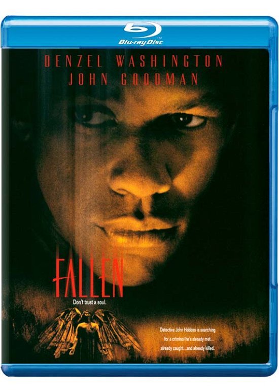 Fallen - Fallen - Filmy - Warner - 0883929244102 - 14 sierpnia 2012