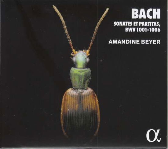 Cover for Amandine Beyer · Bach: Sonates et Partitas, Bwv 1001-1006 (CD) (2021)