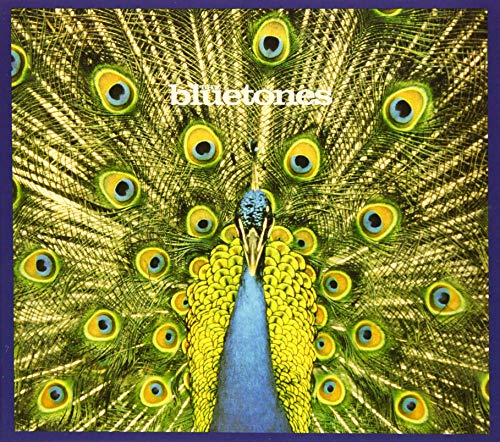 Cover for The Bluetones · Expecting to Fly - 20th Anniversary Edition (CD) [Japan Import edition] (2019)