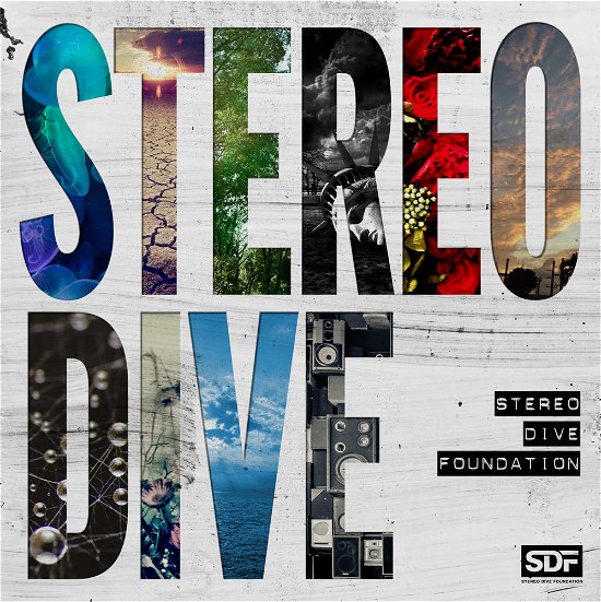 Cover for Stereo Dive Foundation · 1st Album (CD) [Japan Import edition] (2020)