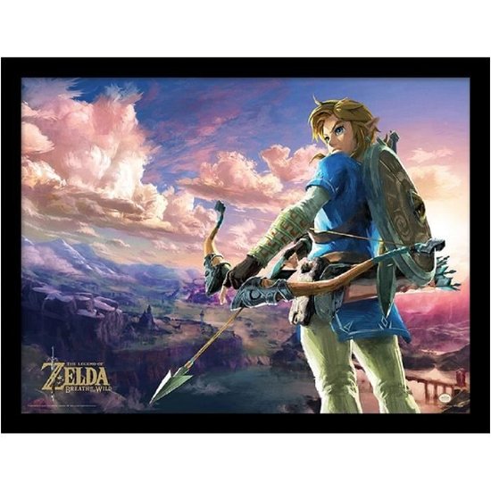 Cover for Zelda · ZELDA - Collector Print HQ 32X42 - Hyrule Scene La (Spielzeug)