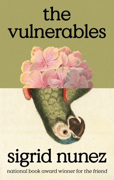 Cover for Sigrid Nunez · The Vulnerables: 'As funny as it is painfully honest' (Paula Hawkins) (Taschenbuch) (2023)
