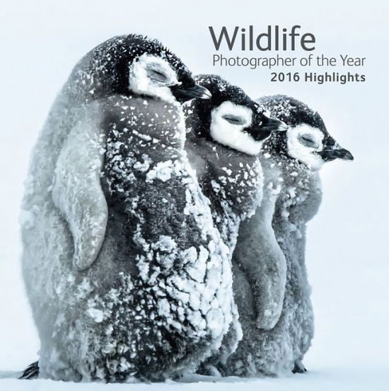 Cover for Rosamund Kidman Cox · Wildlife Photographer of the Year: 2016 Highlights (Paperback Book) (2016)