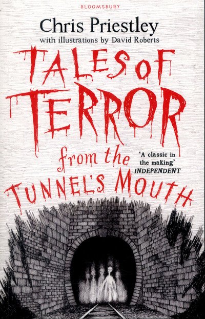 Cover for Chris Priestley · Tales of Terror from the Tunnel's Mouth - Tales of Terror (Paperback Bog) (2016)