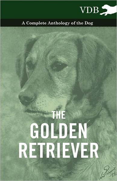 Cover for The Golden Retriever - a Complete Anthology of the Dog (Paperback Book) (2010)