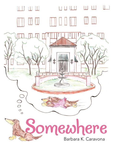 Cover for Barbara K Caravona · Somewhere (Hardcover Book) (2020)
