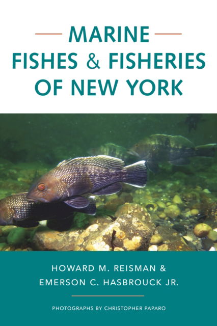 Cover for Howard M. Reisman · Marine Fishes and Fisheries of New York (Paperback Book) (2024)