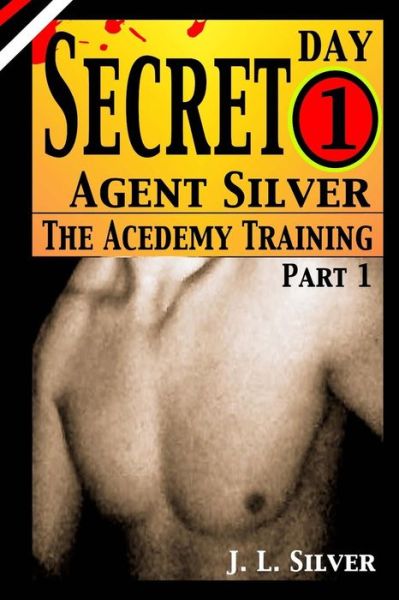 Cover for J L Silver · Secret Agent Silver: Book 1; Part 1 (Paperback Book) (2015)