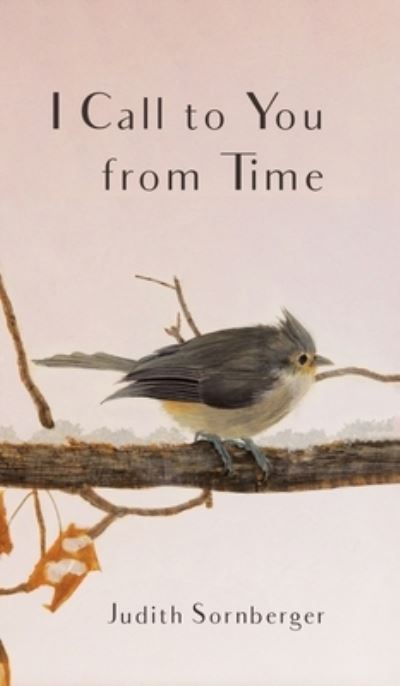 Cover for Judith Sornberger · I Call to You from Time (Book) (2019)