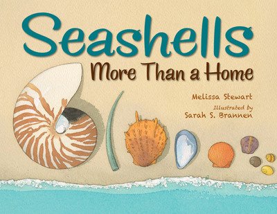 Cover for Melissa Stewart · Seashells: More Than a Home (Inbunden Bok) (2019)