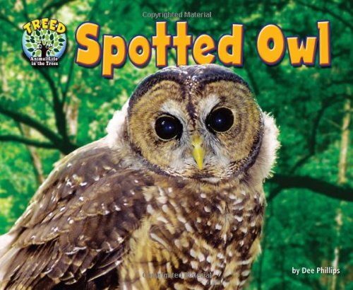 Cover for Dee Phillips · Spotted Owl (Science Slam: Treed-animal Life in the Trees) (Hardcover Book) (2013)