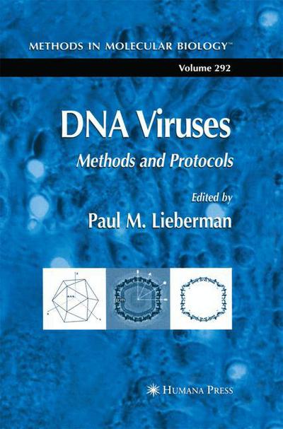 DNA Viruses: Methods and Protocols - Methods in Molecular Biology - Paul M Lieberman - Books - Humana Press Inc. - 9781627038102 - November 22, 2014