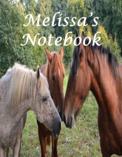 Cover for Bif Ramone · Melissa's Notebook (Paperback Book) (2019)