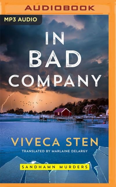 In Bad Company - Viveca Sten - Musikk - BRILLIANCE AUDIO - 9781713551102 - 12. januar 2021