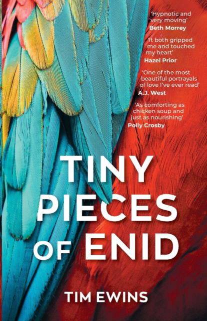 Cover for Tim Ewins · Tiny Pieces of Enid (Paperback Book) (2023)