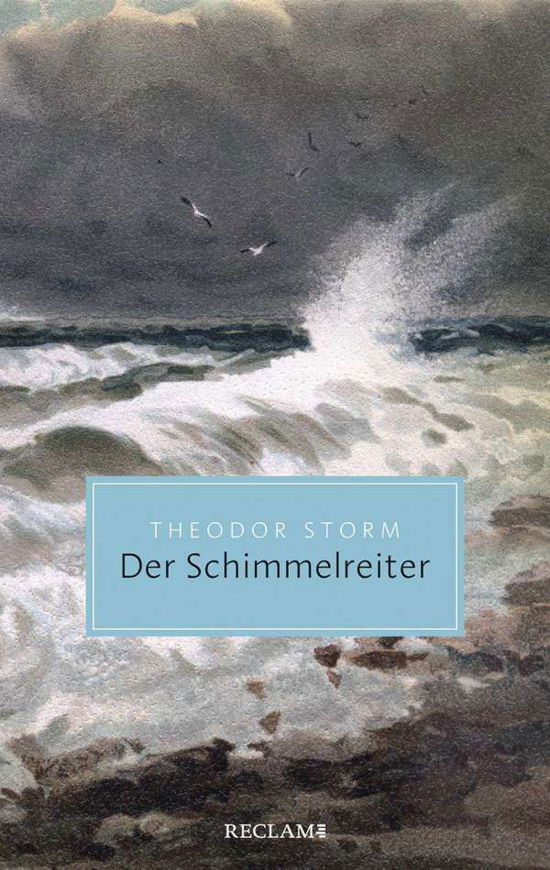 Der Schimmelreiter - Storm - Boeken -  - 9783150206102 - 