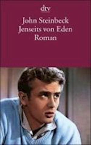 Cover for John Steinbeck · Jenseits von Eden (Paperback Bog) (1997)