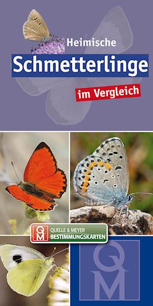 Heimische Schmetterlinge im Vergleich - Quelle & Meyer Verlag - Książki - Quelle + Meyer - 9783494018102 - 30 czerwca 2020