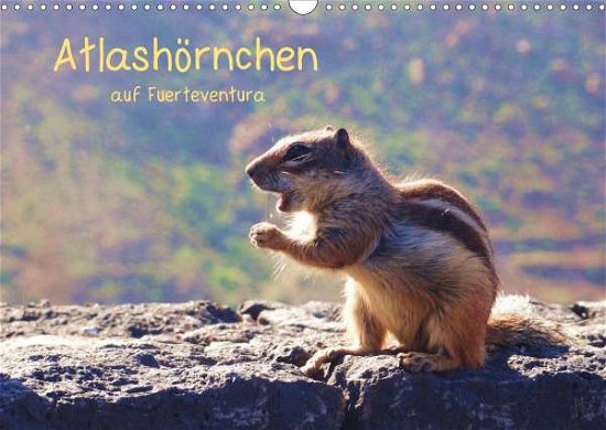 Cover for Luna · Atlashörnchen auf Fuerteventura (W (Bog)
