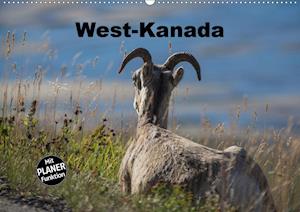 West-Kanada (Wandkalender 2020 DIN - Bort - Books -  - 9783670775102 - 