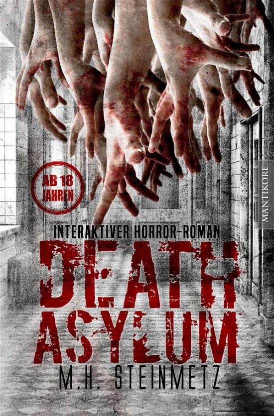 Cover for Steinmetz · Death Asylum - Interaktiver H (Bog)