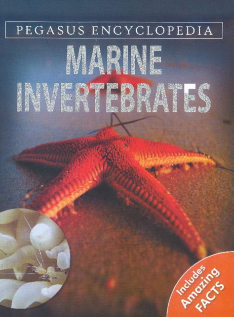 Cover for Pallabi B. Tomar · Marine Invertebrates (Hardcover Book) (2011)