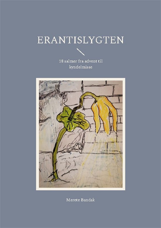 Cover for Merete Bandak · Erantislygten (Paperback Bog) [1. udgave] (2023)