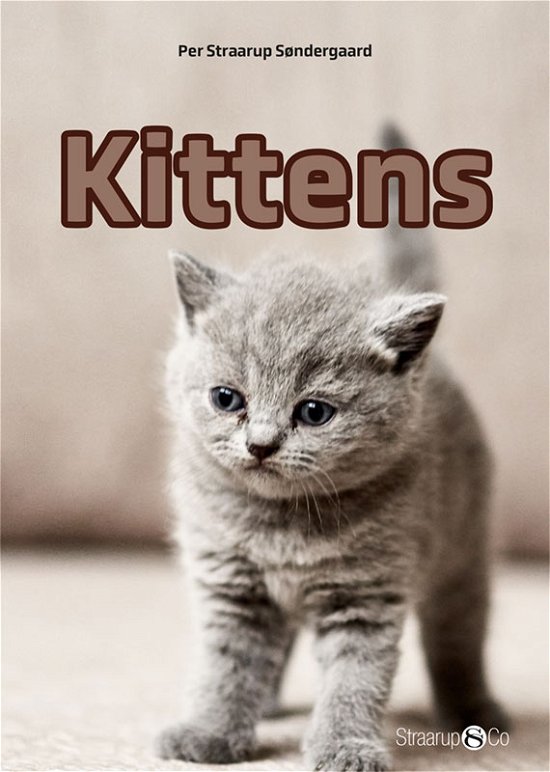 Cover for Per Straarup Søndergaard · Mini English: Kittens (Innbunden bok) [1. utgave] (2018)