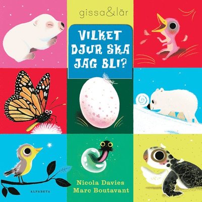 Cover for Nicola Davies · Vilket djur ska jag bli? (Bound Book) (2012)