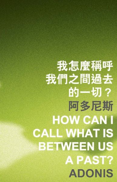 How Can I Call What Is Between Us a Past? - Islands or Continents - Adonis - Livros - The Chinese University Press - 9789629966102 - 30 de novembro de 2013