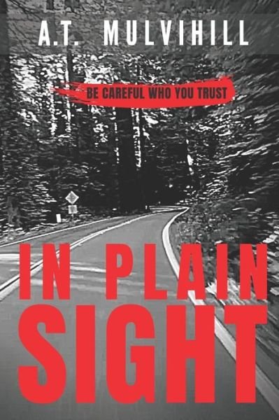 Cover for A T Mulvihill · In Plain Sight (Pocketbok) (2020)